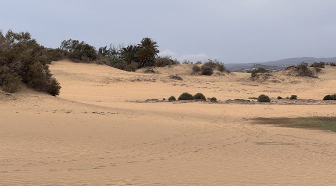 Tag 2 – Dunas de Maspalomas