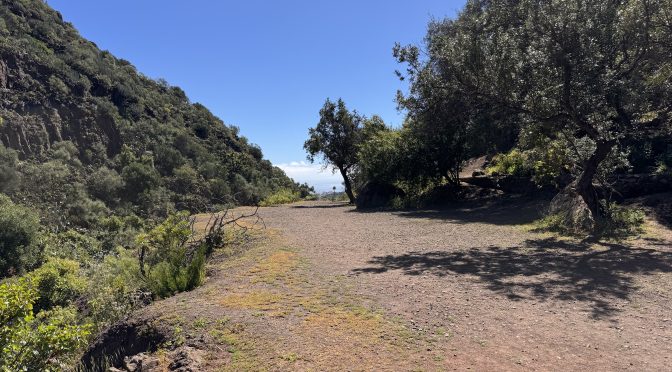 Tag 10 – Barranco de los Cernícalos